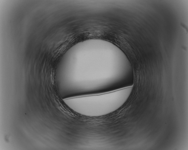 X0000103491250200809120943