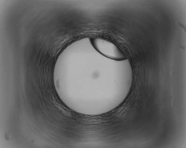 X0000103491252200809120943