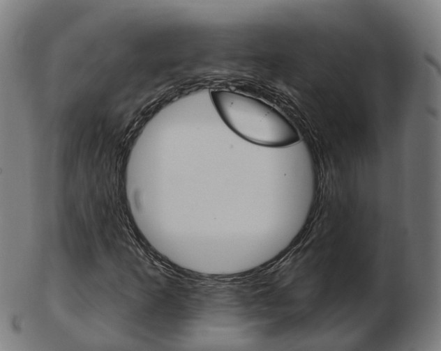 X0000103491253200809120943