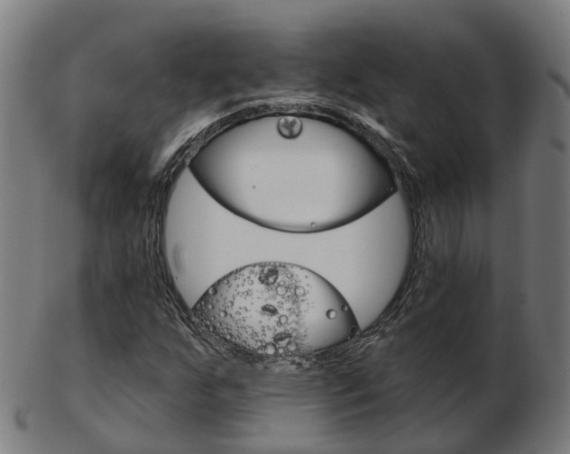 X0000103491255200809120943