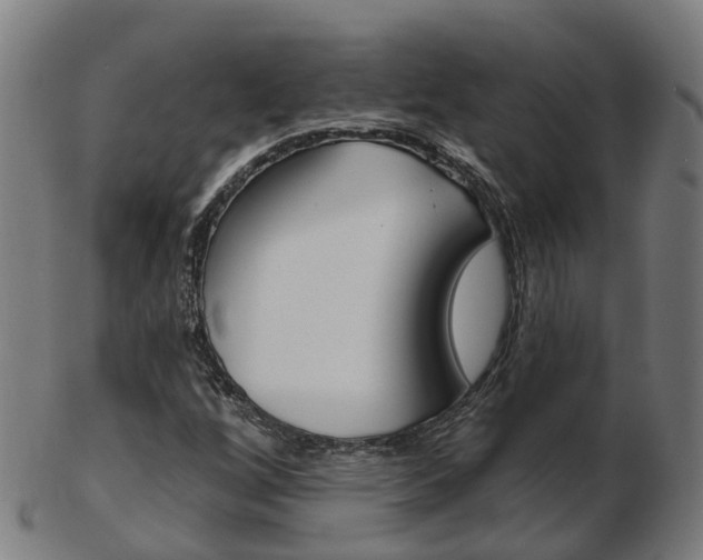 X0000103491256200809120942