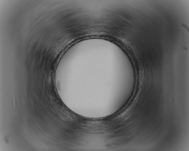 X0000103491257200809120942