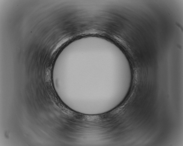 X0000103491258200809120942