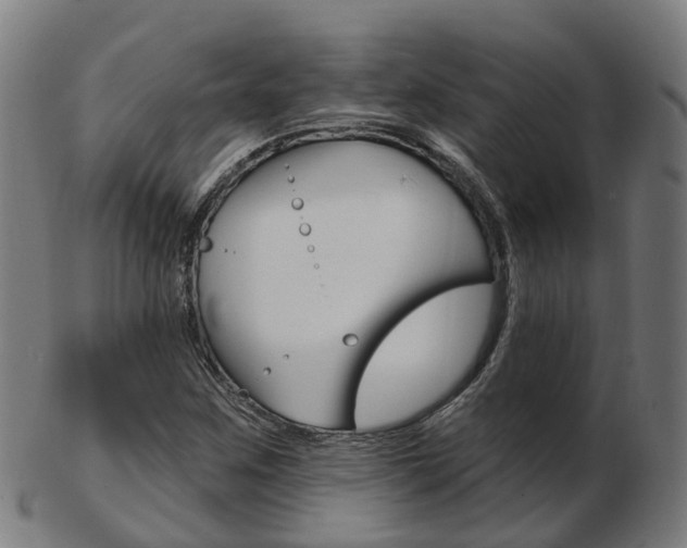 X0000103491259200809120942