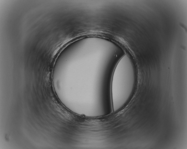 X0000103491260200809120942