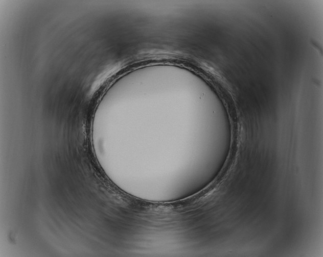 X0000103491261200809120942