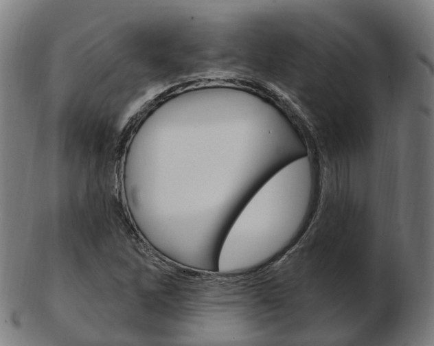 X0000103491262200809120942