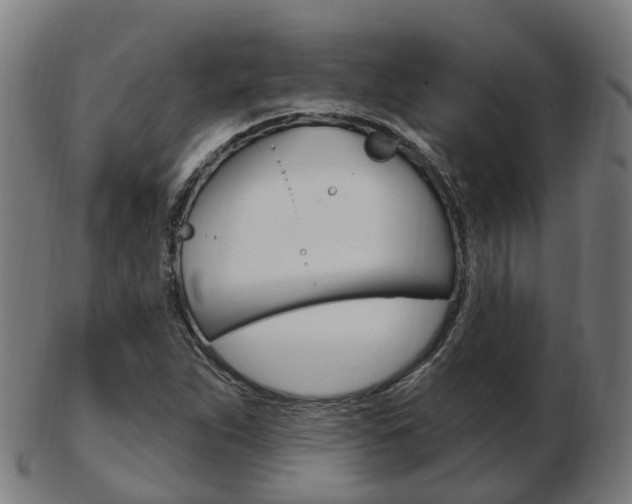 X0000103491263200809120942