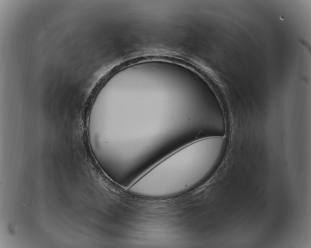 X0000103491264200809120942