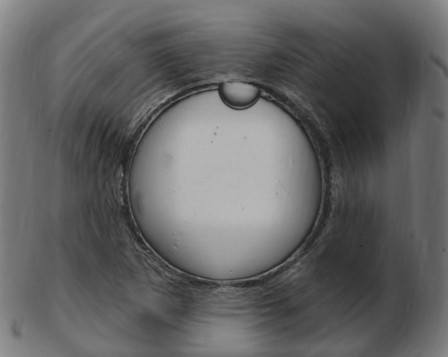 X0000103491265200809120942
