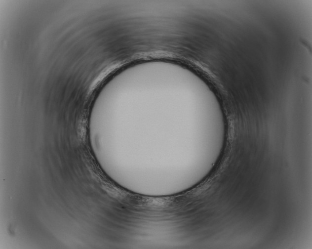 X0000103491266200809120942