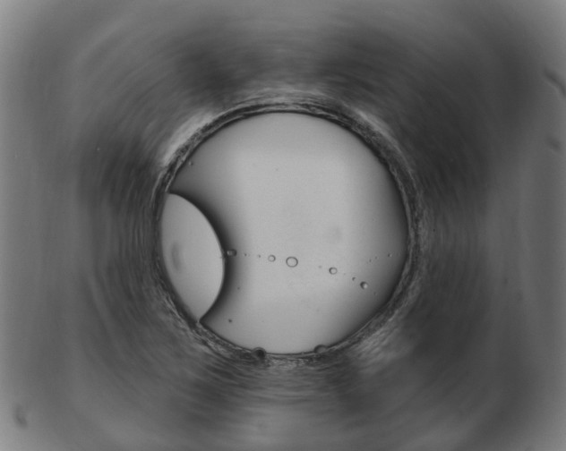 X0000103491267200809120942