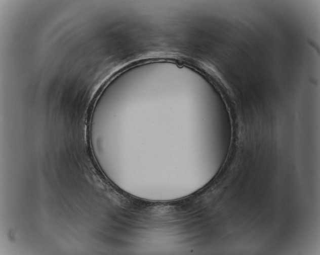 X0000103491268200809120942