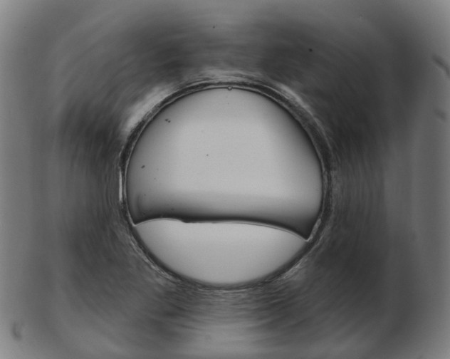 X0000103491269200809120942