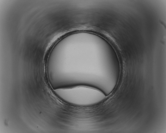 X0000103491270200809120942
