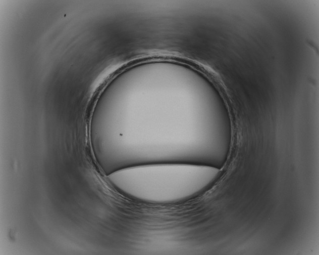X0000103491271200809120942