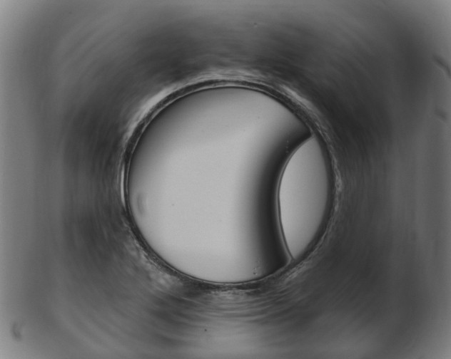 X0000103491272200809120942