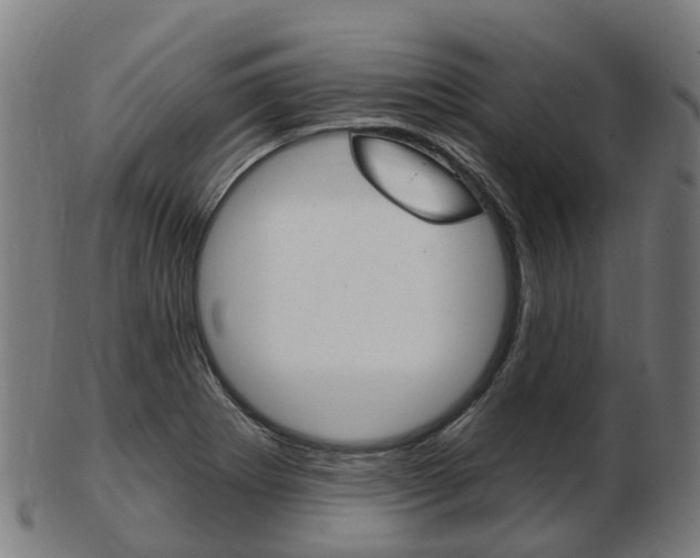 X0000103491273200809120942