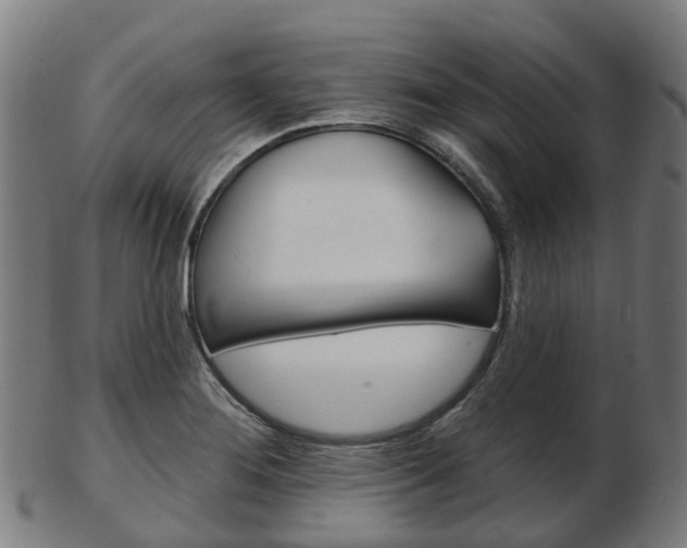 X0000103491276200809120942