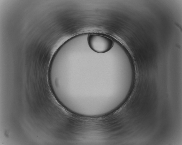 X0000103491277200809120942