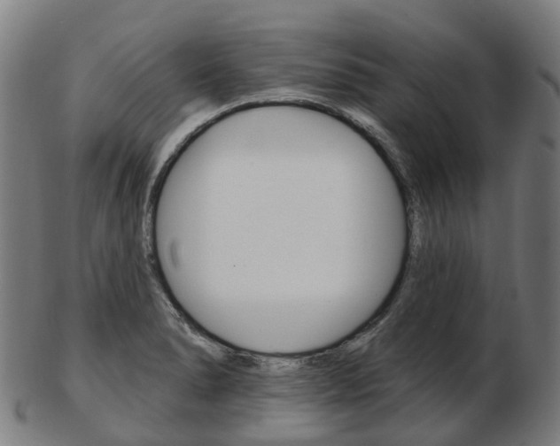 X0000103491278200809120942