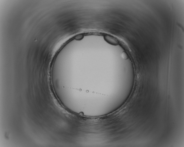 X0000103491279200809120942