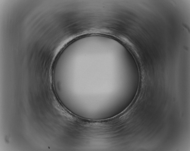 X0000103491280200809120942