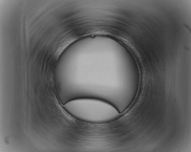 X0000103491281200809120942