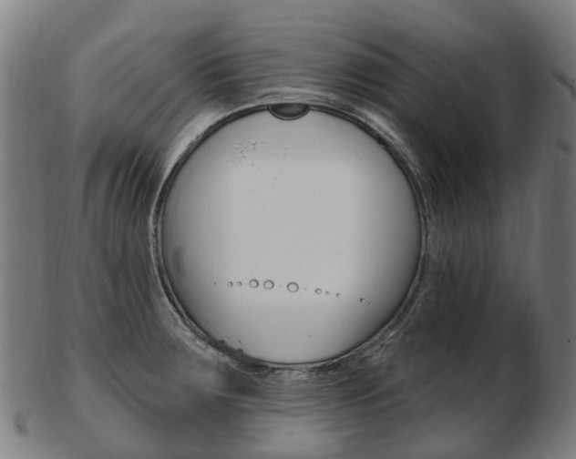X0000103491283200809120942