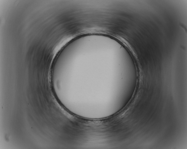 X0000103491285200809120942