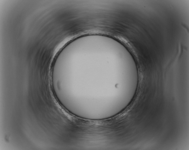 X0000103491286200809120942