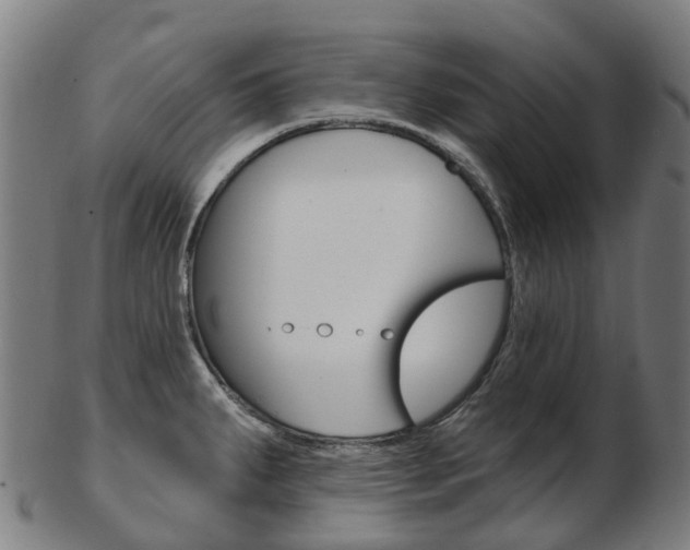 X0000103491287200809120942