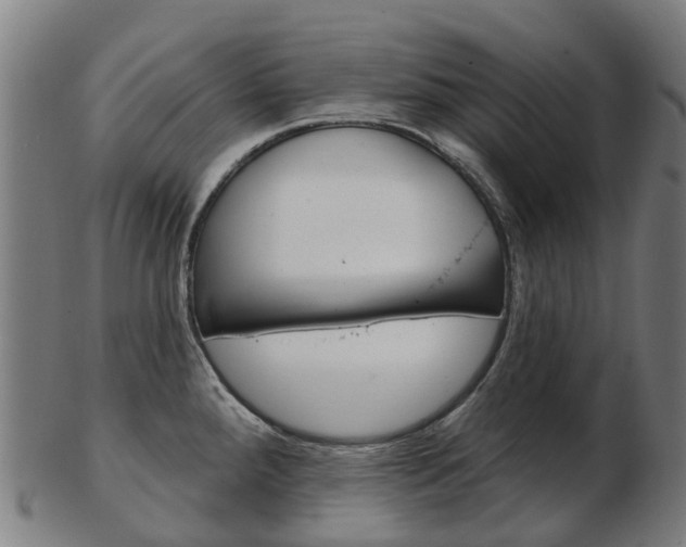 X0000103491288200809120942