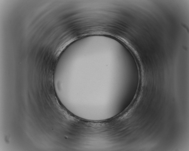 X0000103491289200809120942