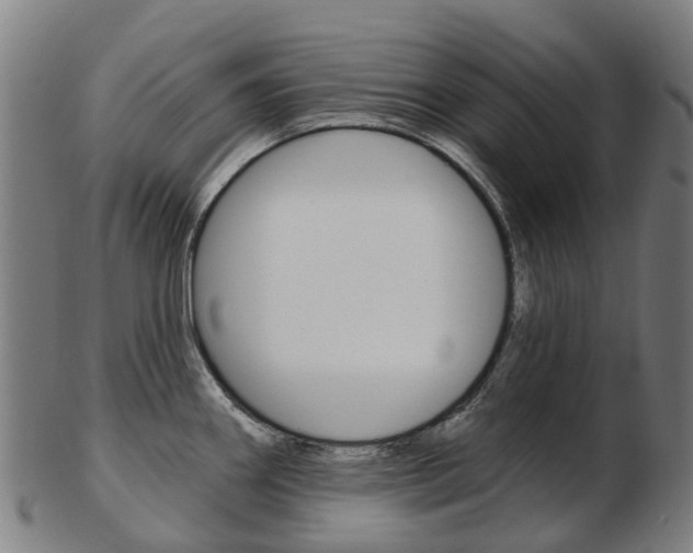 X0000103491290200809120942