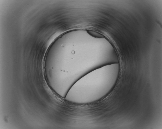X0000103491291200809120942