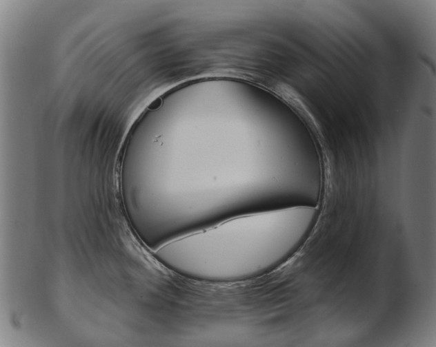 X0000103491292200809120942