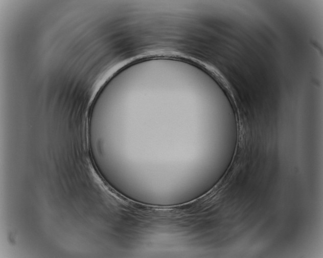 X0000103491295200809120942
