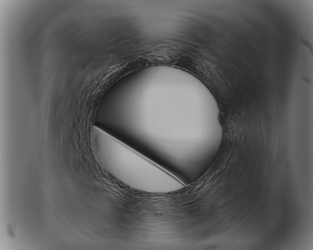 X0000103491297200809120941