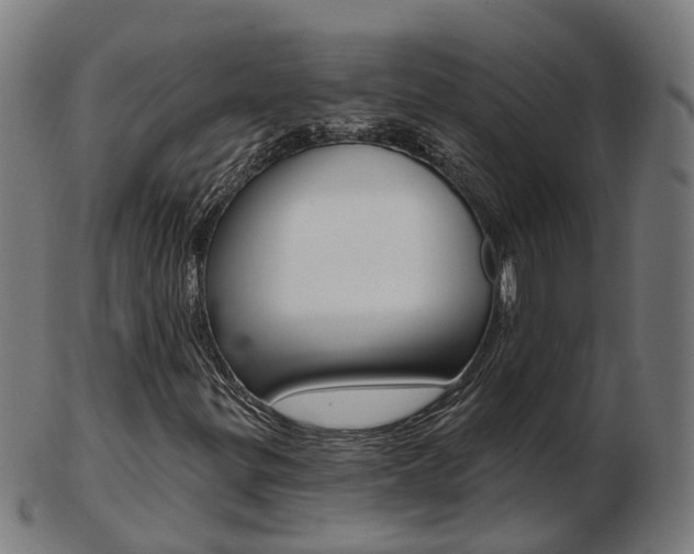 X0000103491299200809120941