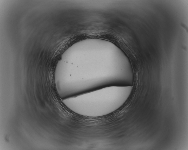 X0000103491300200809120941