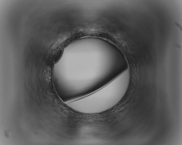 X0000103491301200809120941