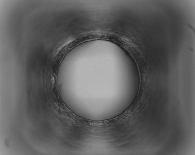 X0000103491302200809120941