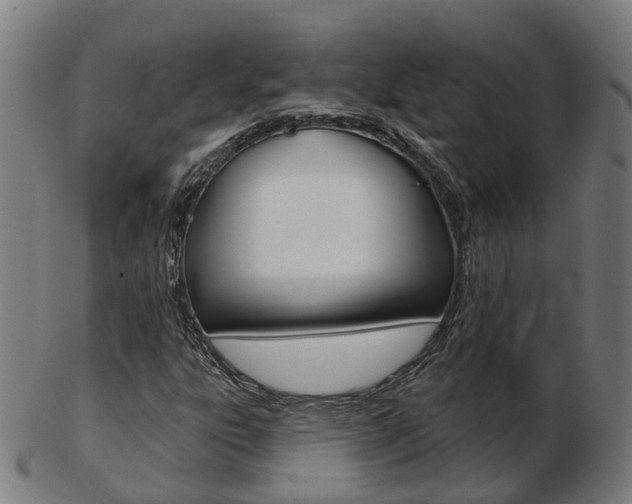 X0000103491303200809120941