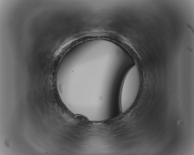 X0000103491304200809120941
