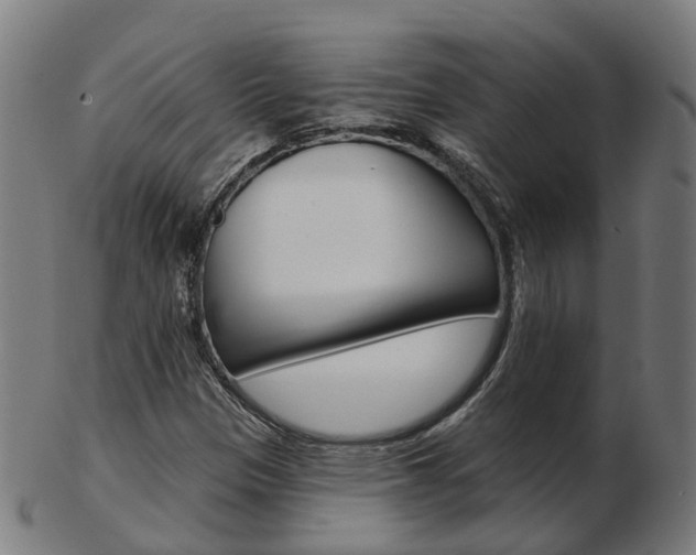 X0000103491305200809120941