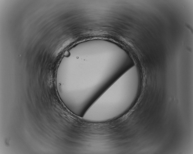 X0000103491306200809120941