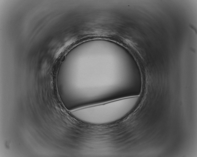 X0000103491307200809120941