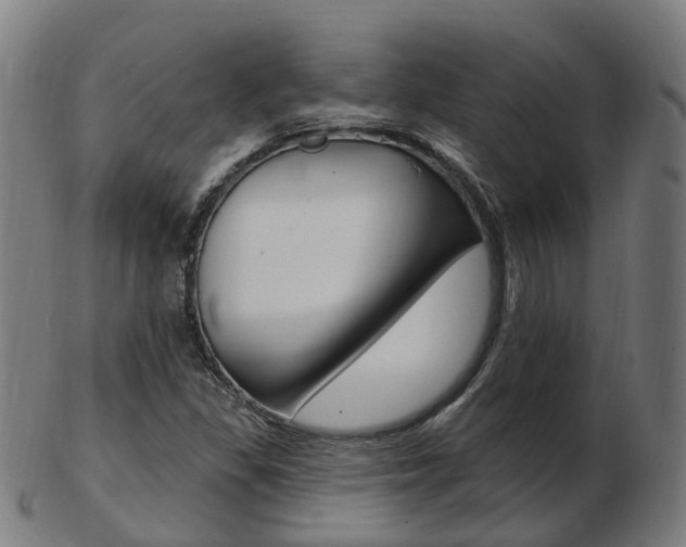 X0000103491309200809120941