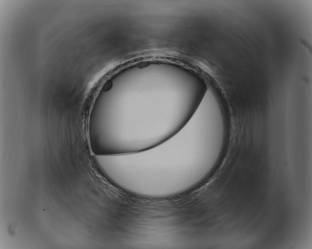 X0000103491310200809120941
